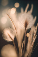 acrylic-print-whispering-dandelions