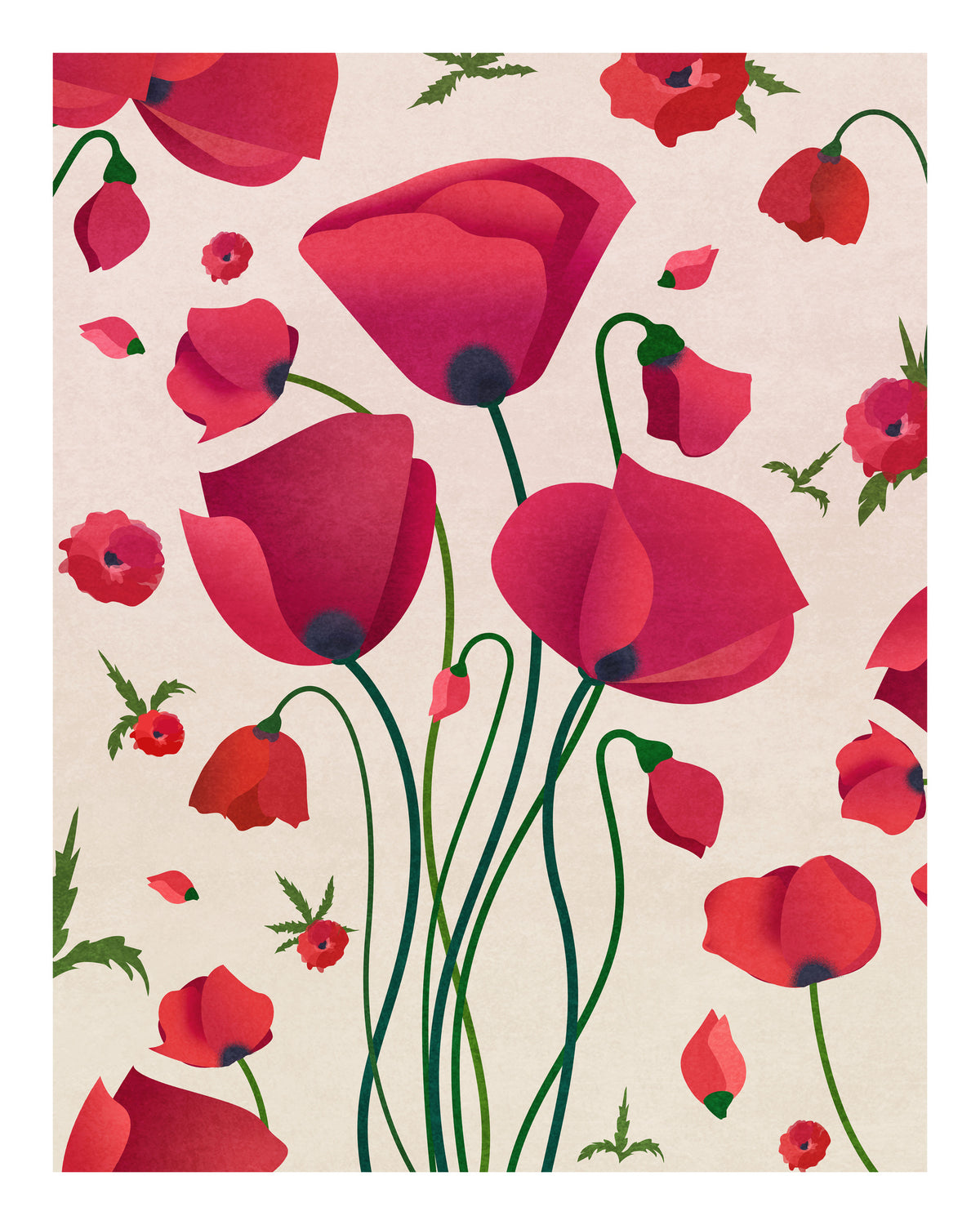 acrylic-print-poppy-blossoms