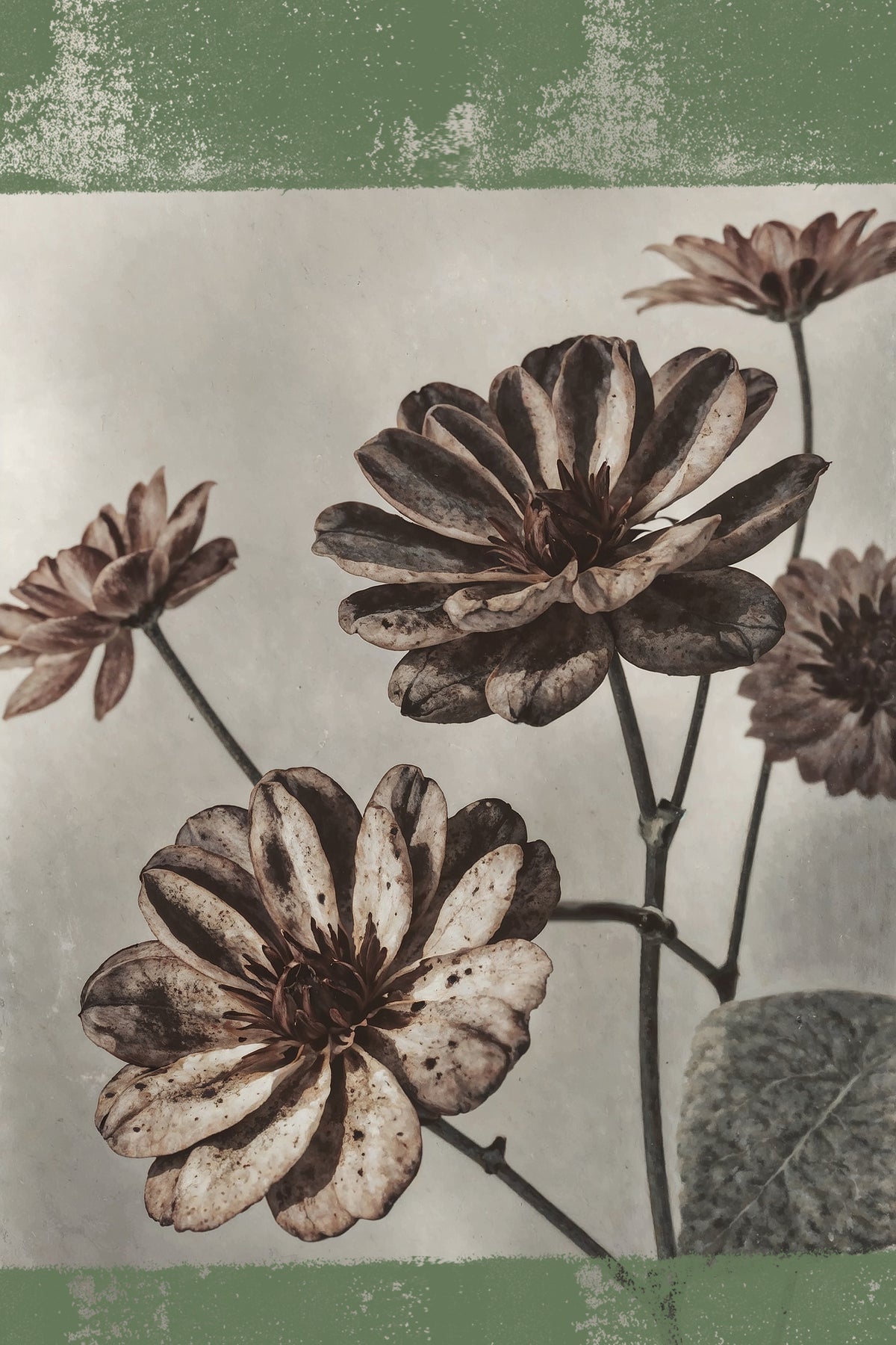 aluminium-print-vintage-flowers-no7