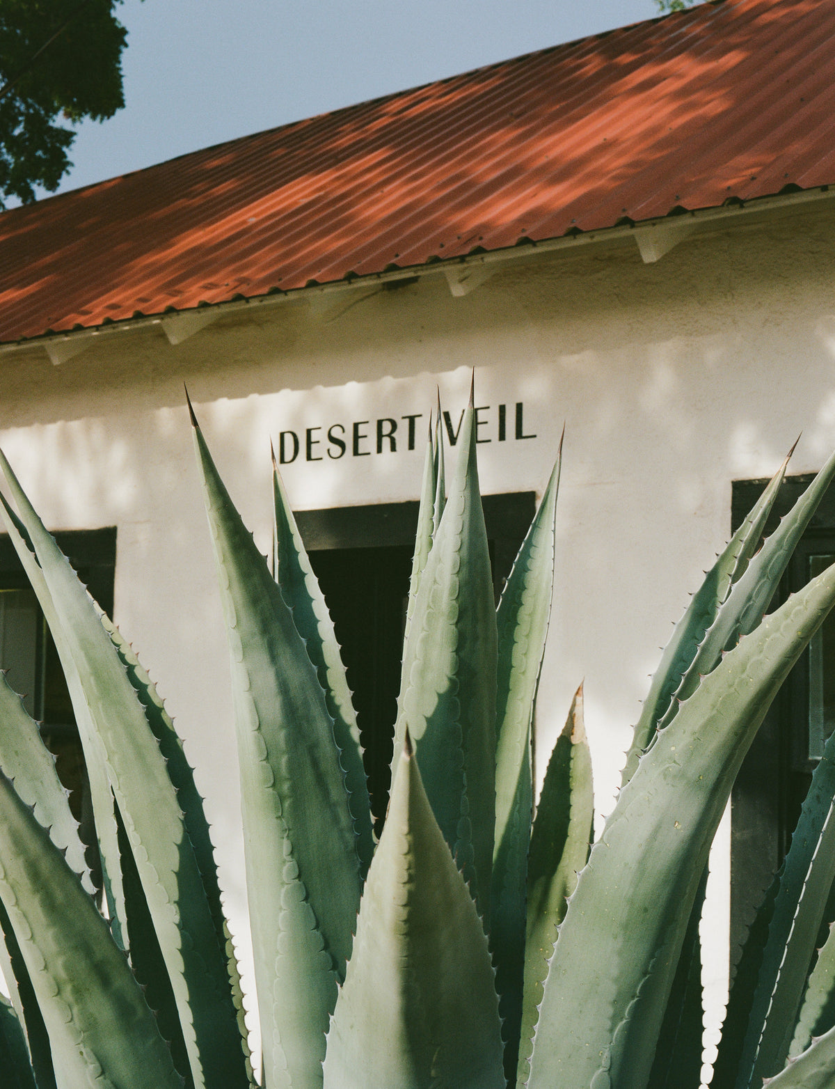 framedposter-print-desert-veil