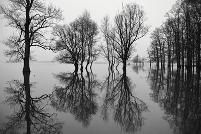 poster-print-flood-x