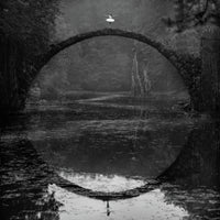 poster-print-ring