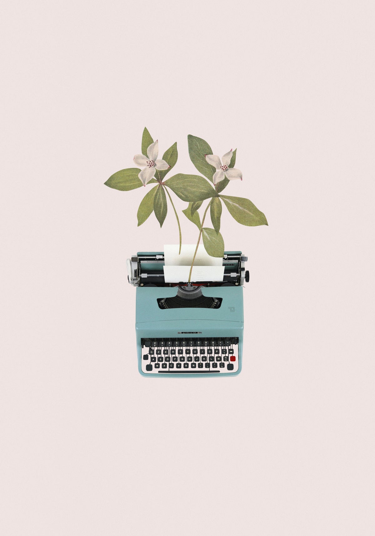 framedposter-print-botanical-typewriter