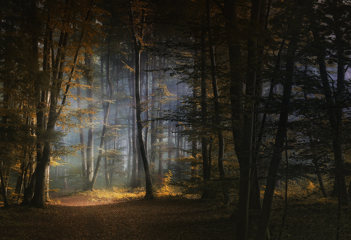 3-piece-acrylic-print-november-morning