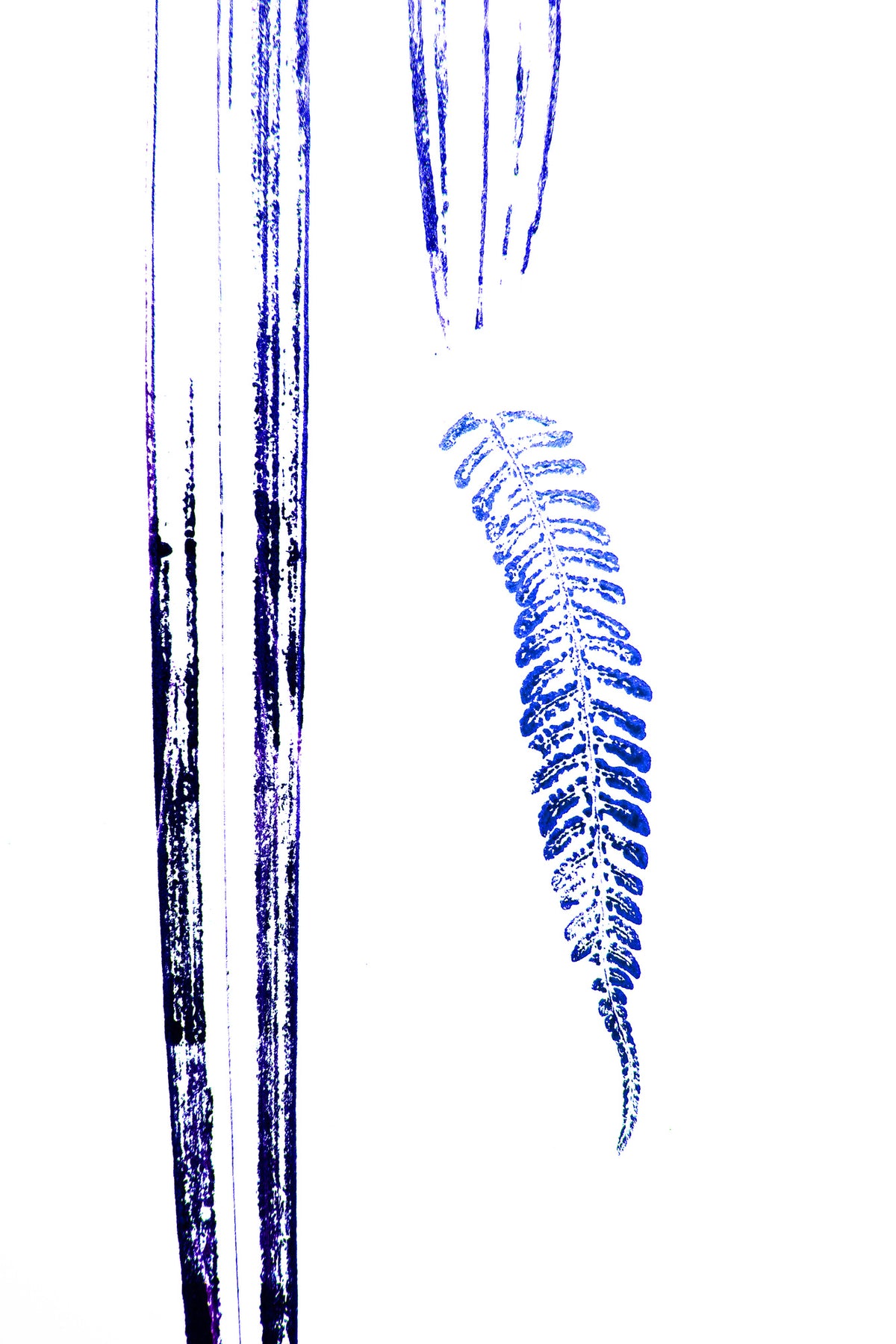 framedposter-print-blue-fern-print