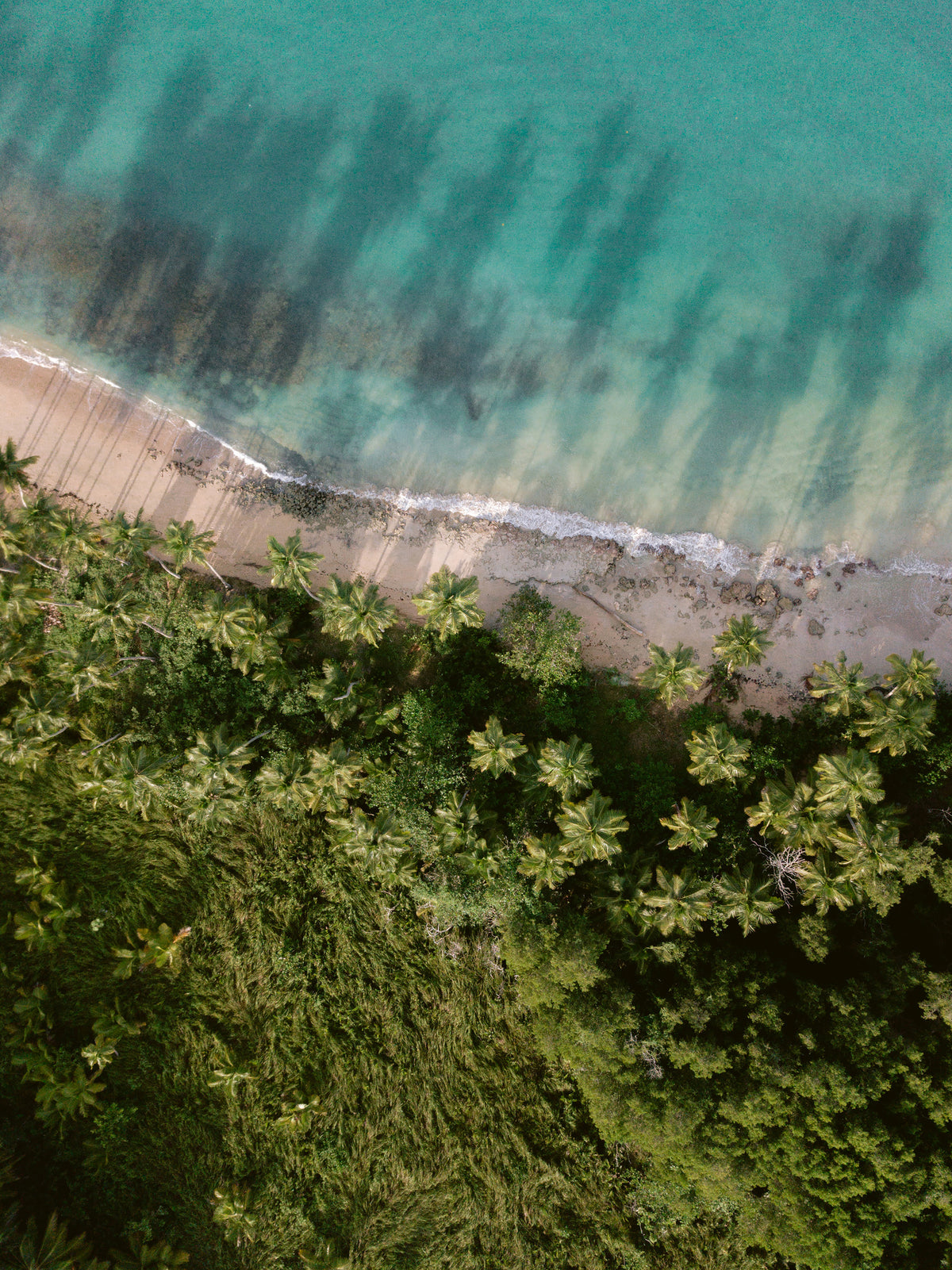 acrylic-print-palm-beach-from-above