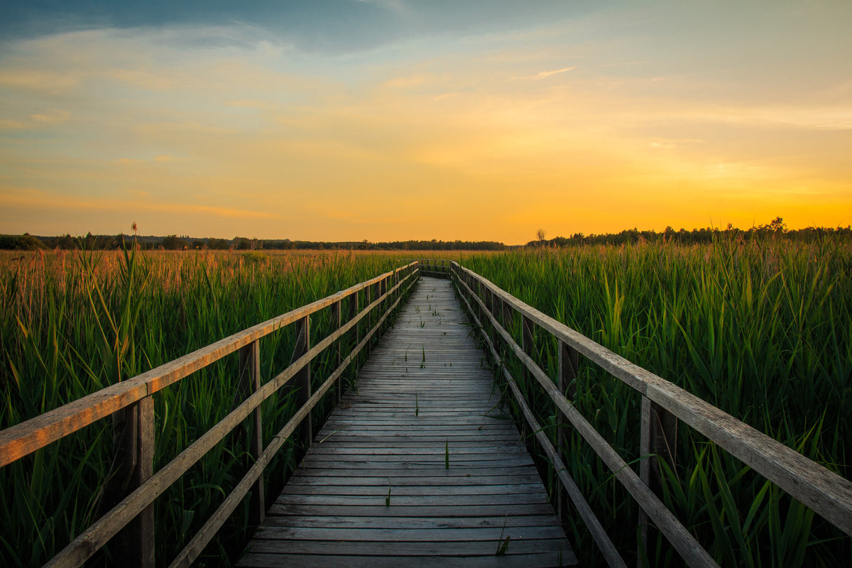 aluminium-print-sunset-in-the-fields