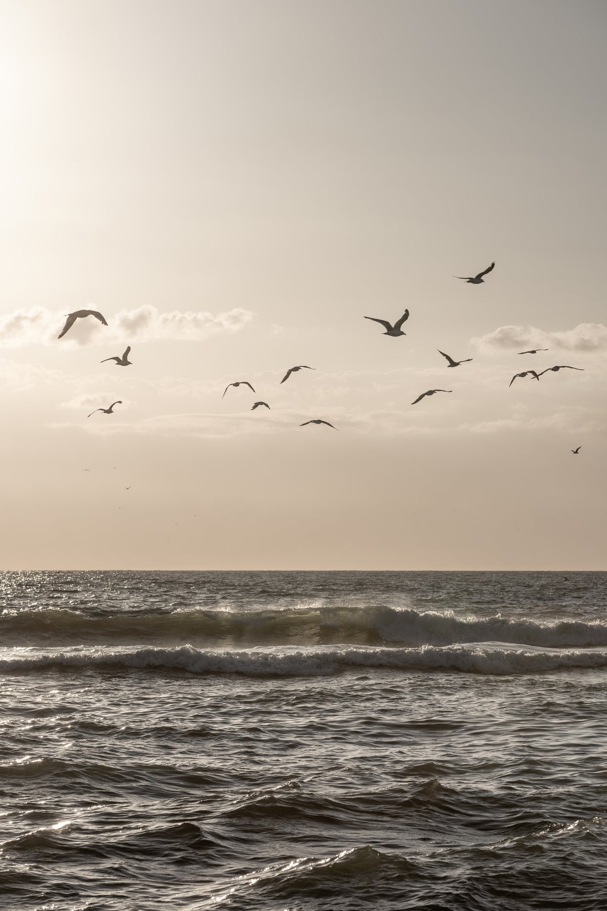 canvas-print-birds-and-the-sea-3