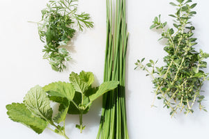 framedcanvas-print-fresh-herbs