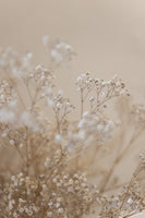 aluminium-print-babys-breath-1