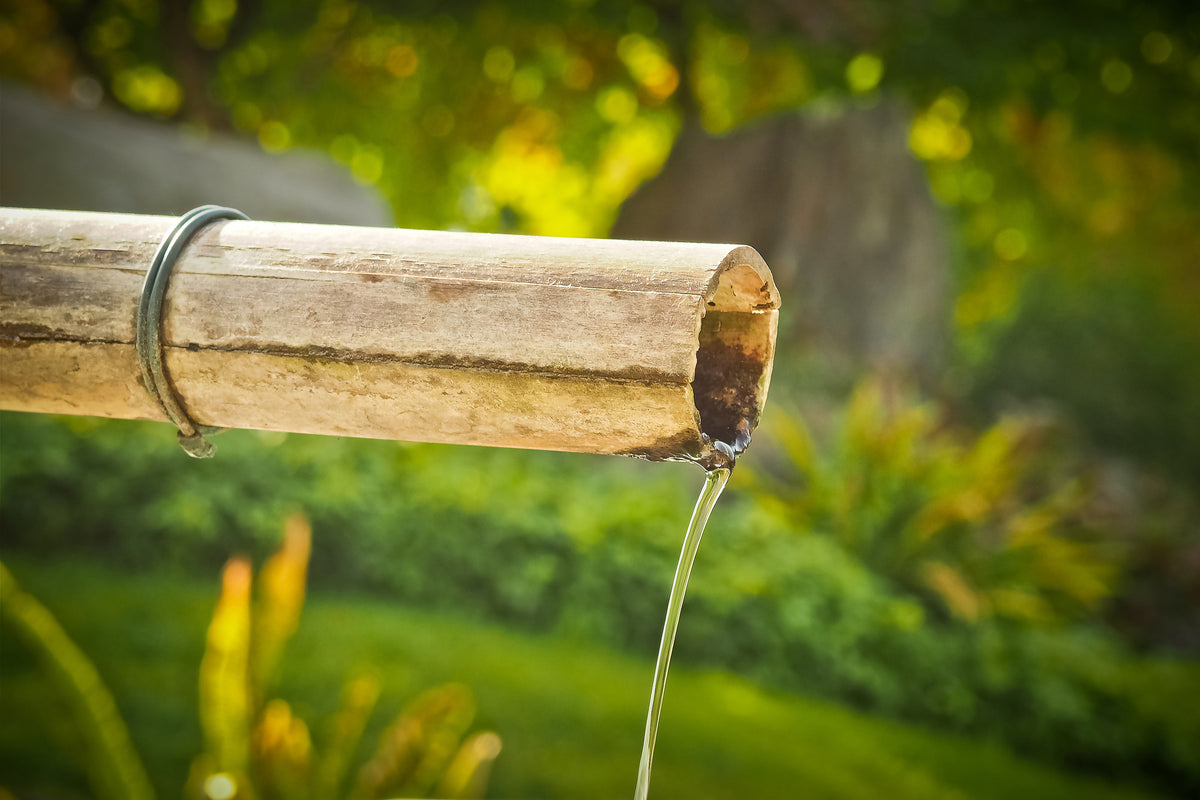 canvas-print-the-bamboo-pipe