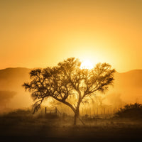 9-piece-acrylic-print-golden-sunrise