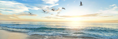 panoramic-poster-print-the-seagulls-and-the-sea-at-sunrise-31-panorama