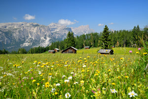 modern-3-piece-canvas-print-alpine-happiness
