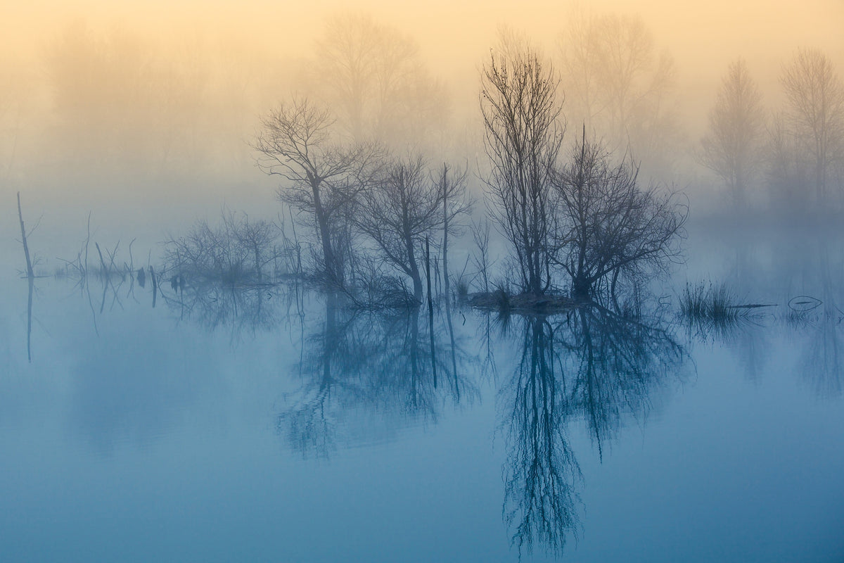 modern-3-piece-acrylic-print-morning-reflection-ii