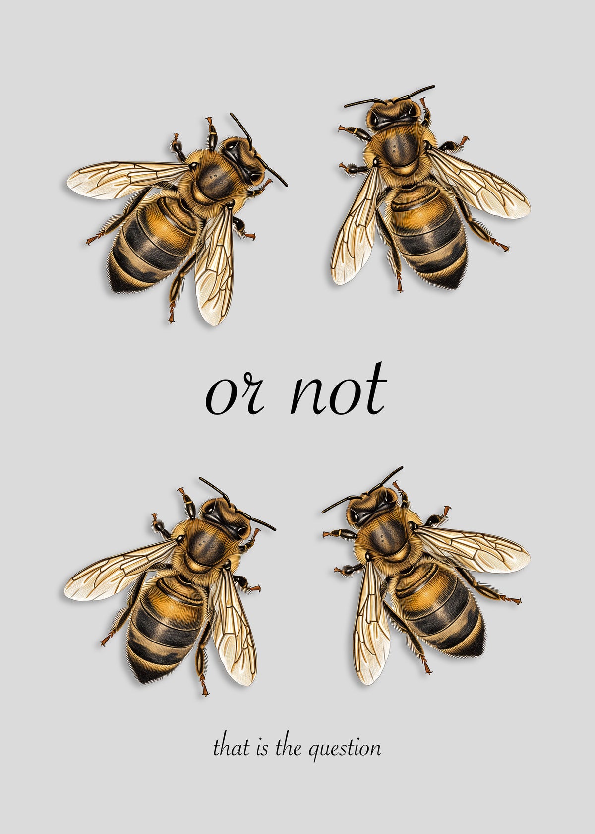 canvas-print-to-be-or-not-to-be