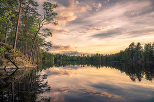 framedposter-print-lake-tarmsjapn-sweden-x