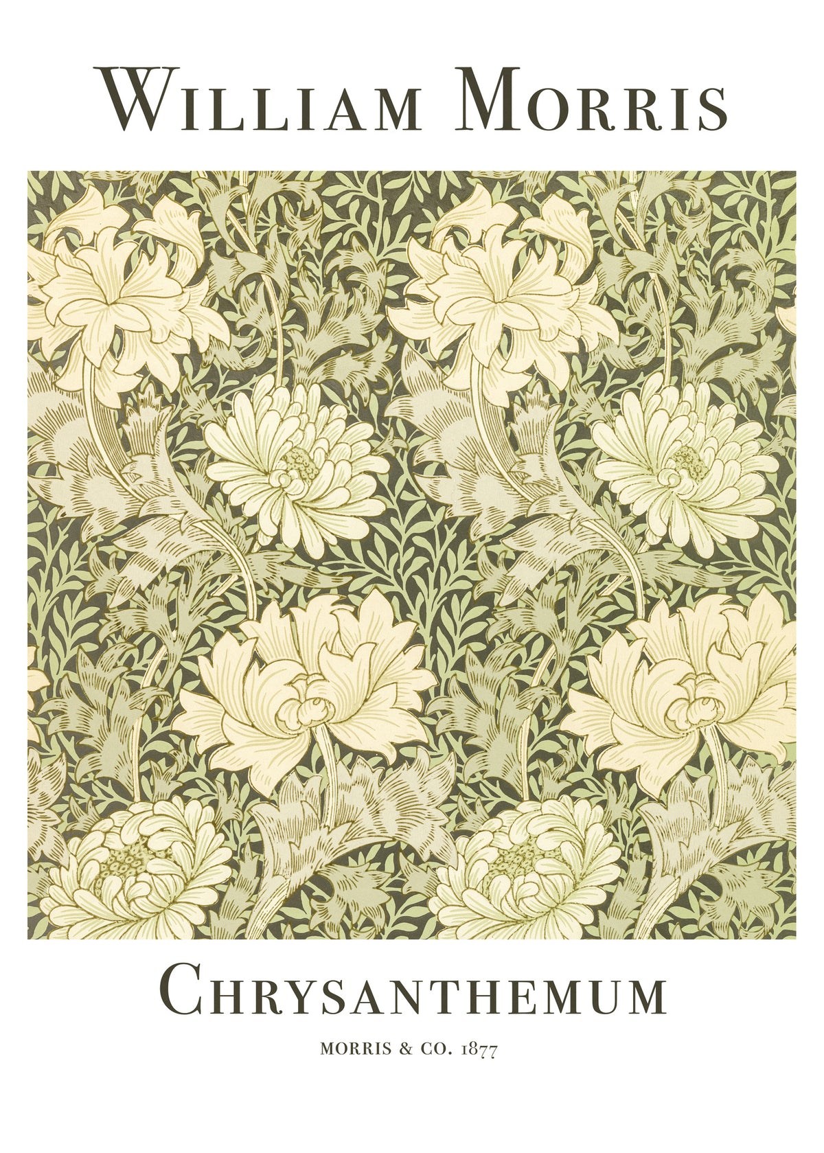 aluminium-print-chrysanthemum-2