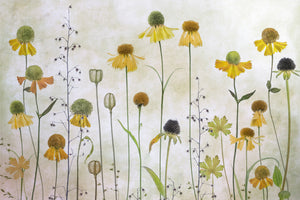 framedcanvas-print-helenium