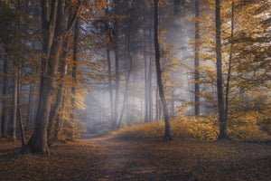 3-piece-canvas-print-october-days