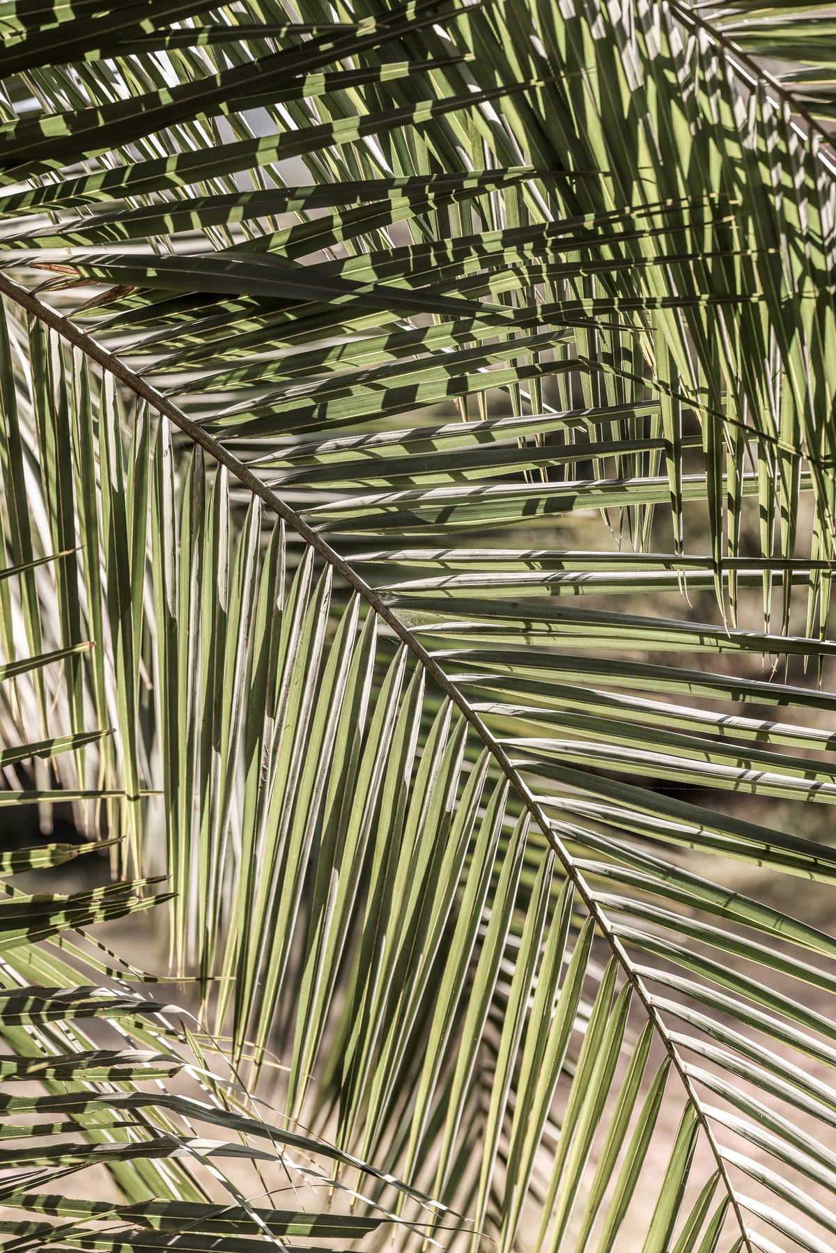 acrylic-print-geometry-of-sunlight