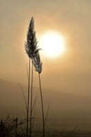 canvas-print-atmospheric