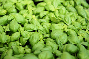3-piece-canvas-print-all-basil