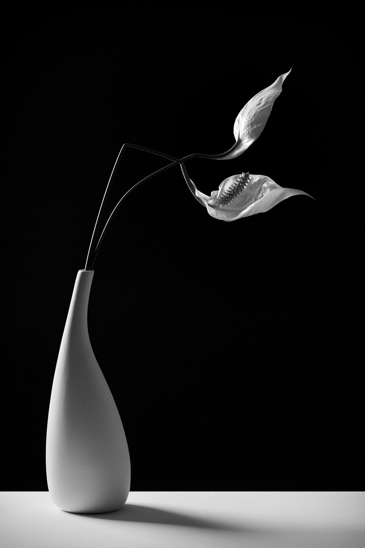 framedcanvas-print-passionately-x
