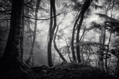 poster-print-mysterious-light