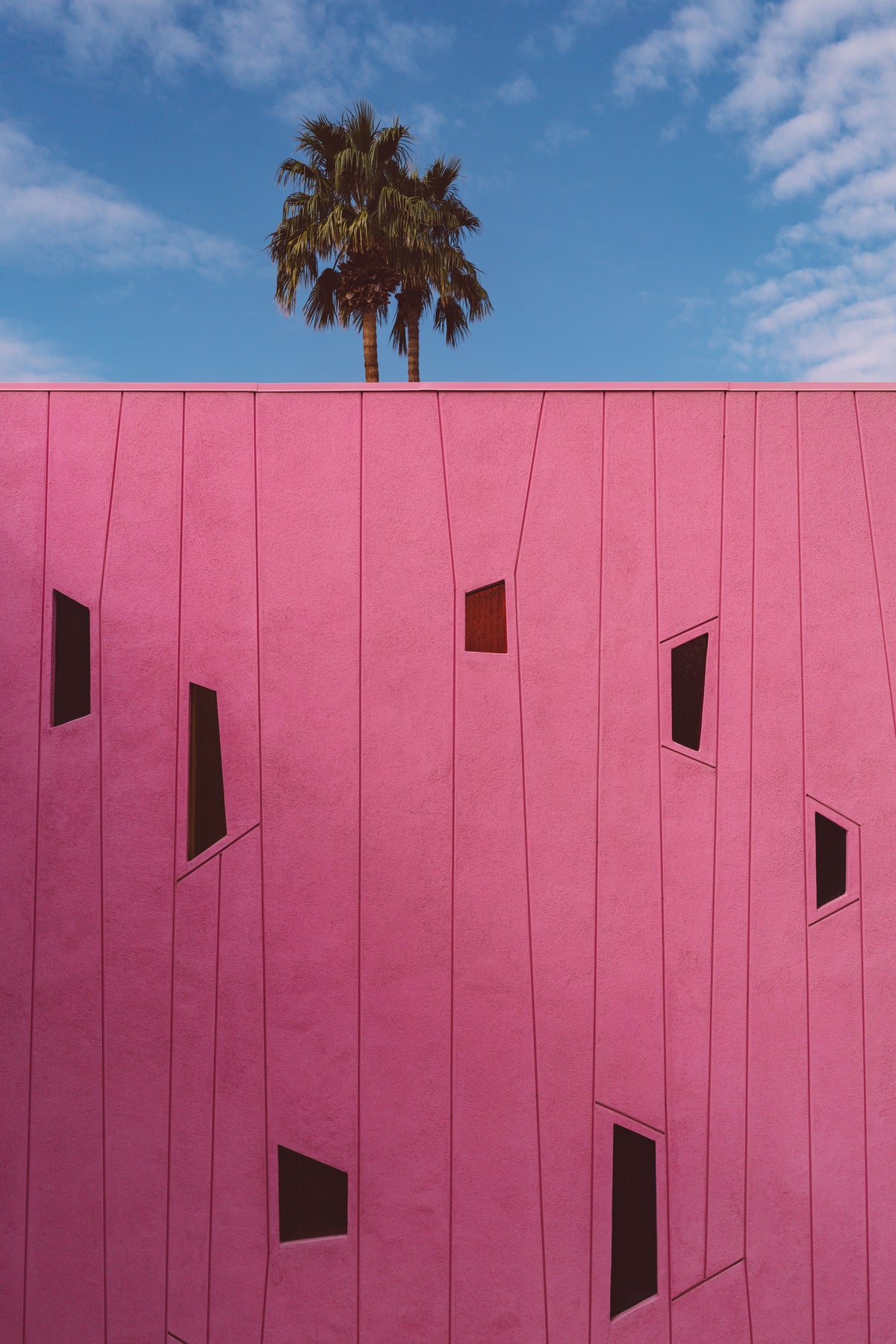 canvas-print-palm-springs-vibes-iii