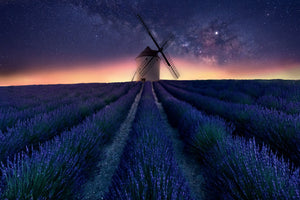 aluminium-print-lavender-night-x