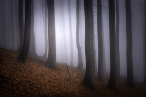 3-piece-canvas-print-autumn-mood-2