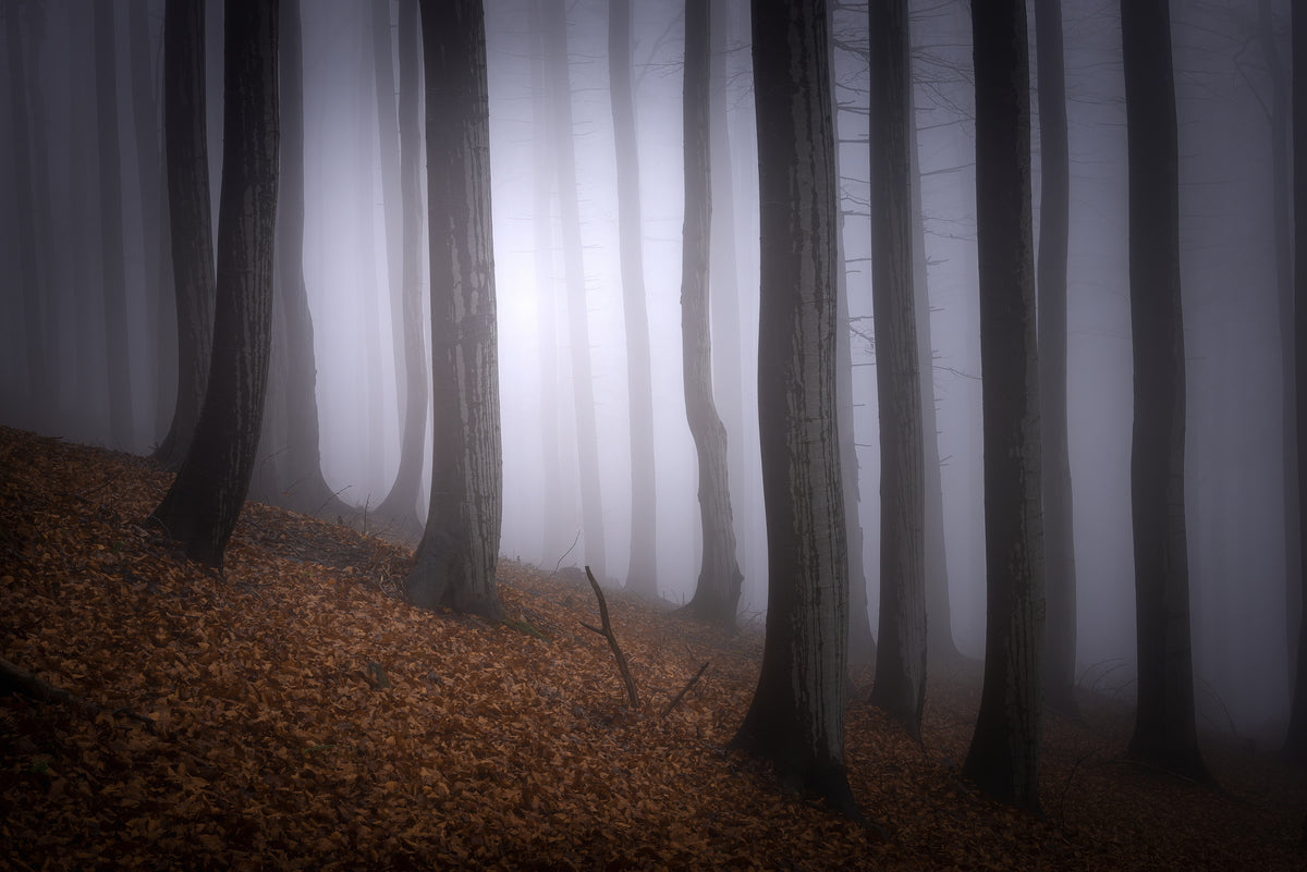 3-piece-canvas-print-autumn-mood-2