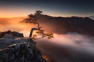canvas-print-sokolica-x