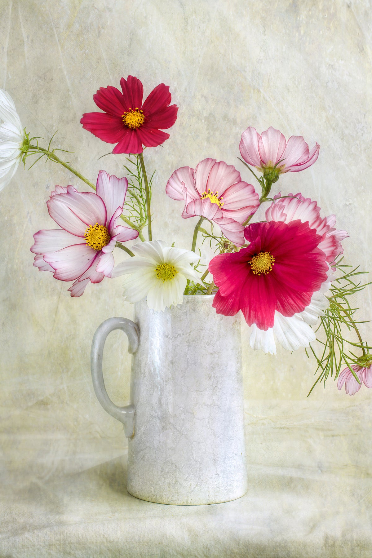 framedposter-print-cosmos-carnival