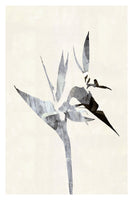 acrylic-print-sharp-dressed-plant