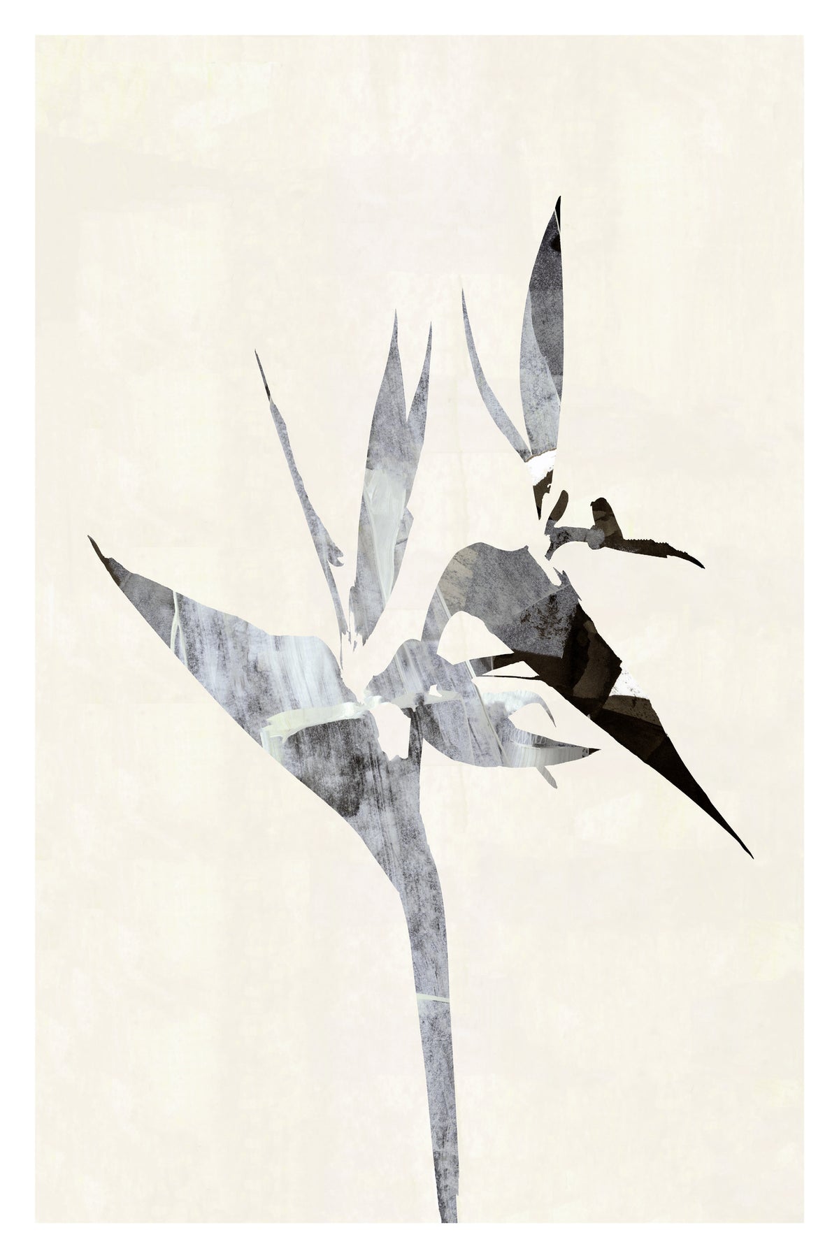 acrylic-print-sharp-dressed-plant