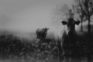3-piece-canvas-print-foggy-memory-of-the-past-5
