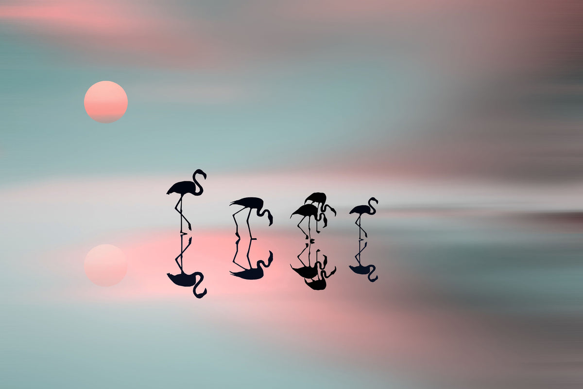 aluminium-print-family-flamingos-x