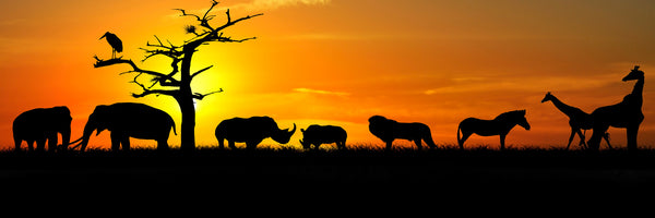 panoramic-canvas-print-safari-animals-at-sunset-panorama