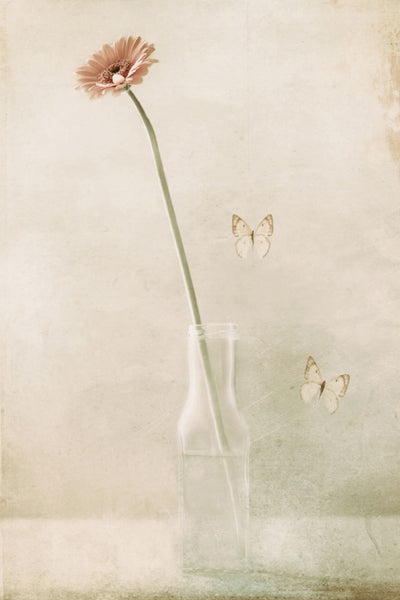 poster-print-miss-daisy
