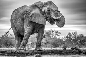 3-piece-aluminium-print-standing-proud