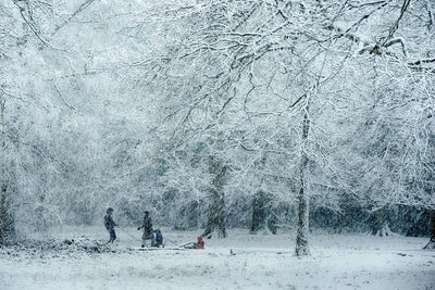 poster-print-winter-dream-2