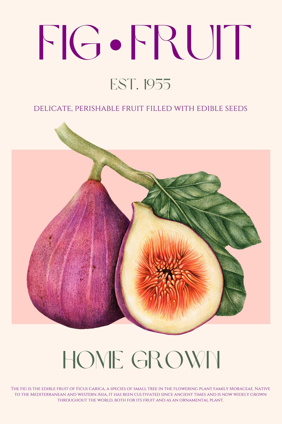 canvas-print-vintage-fig-delight