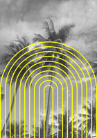 acrylic-print-tropical-echoes