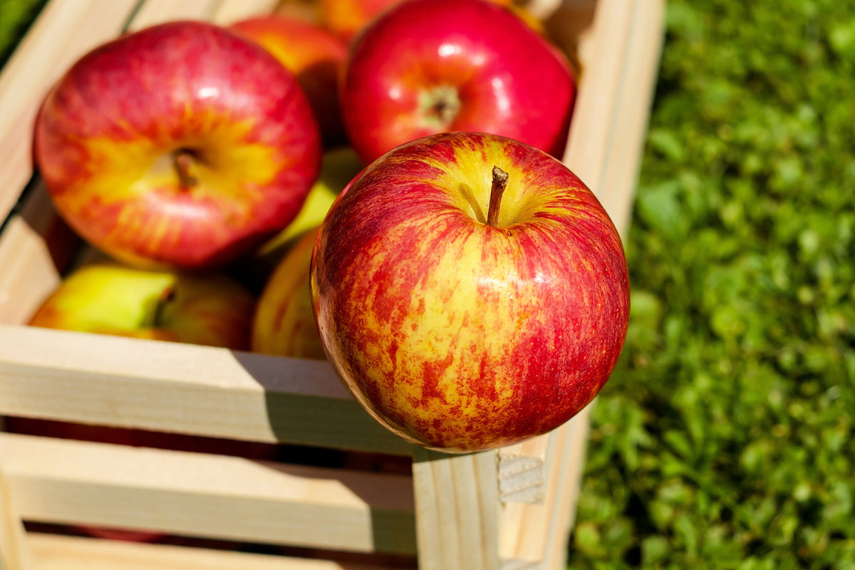 framedcanvas-print-box-of-apples