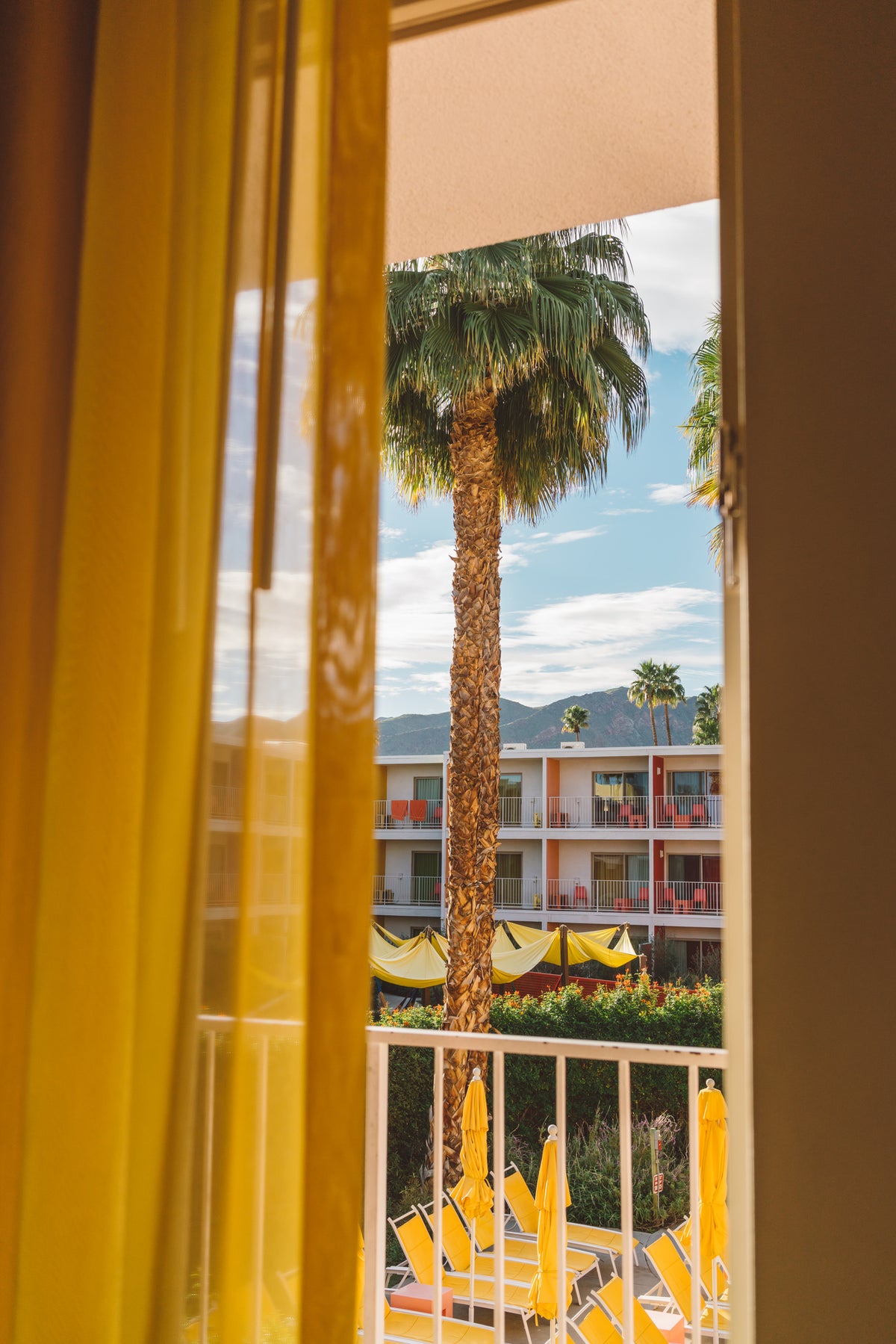 aluminium-print-palm-springs-dreams