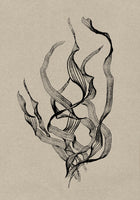 canvas-print-delicate