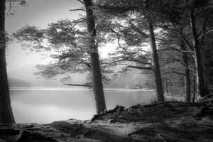 acrylic-print-loch-an-eilein
