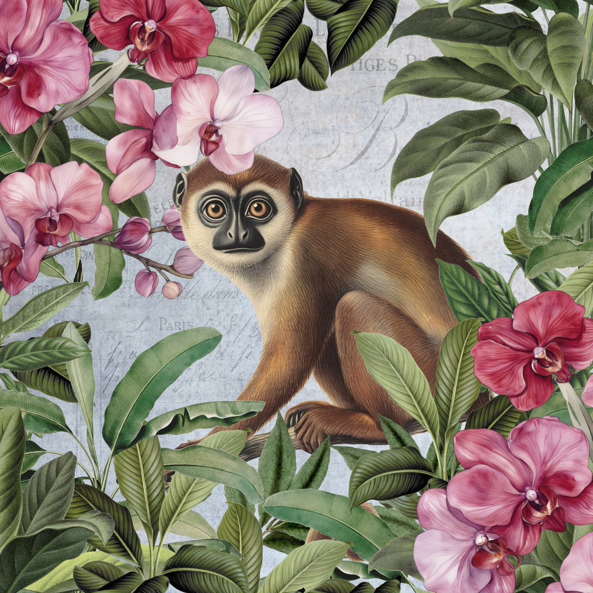 acrylic-print-monkey-paradise